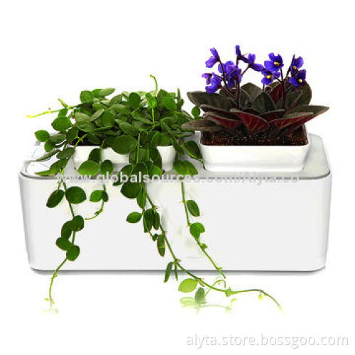 Long plastic pots, fish tank ceramic pots set victory household items